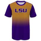 Boys 8-20 Lsu Tigers Bitmapped Dri-tek Tee, Size: L 14-16, Purple