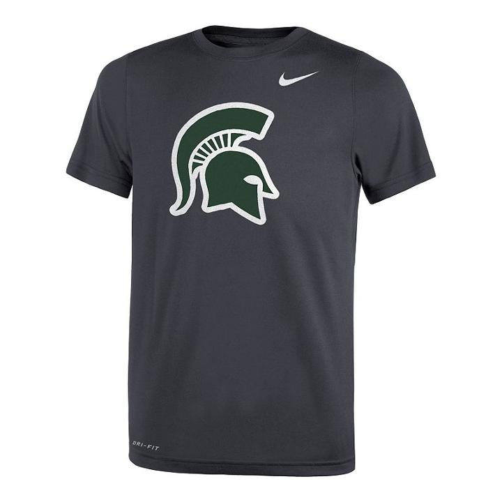 Boys 8-20 Nike Michigan State Spartans Travel Dri-fit Tee, Size: L 14-16, Grey