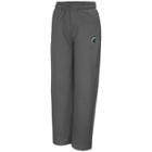 Boys 8-20 Campus Heritage Michigan State Spartans Fleece Pants, Size: S(8/10), Oxford