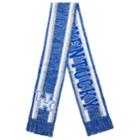 Forever Collectibles Kentucky Wildcats Knit Scarf, Adult Unisex, Multicolor