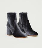 Loft Velvet Stretch Booties