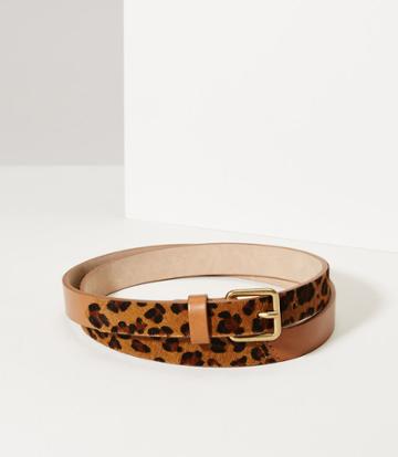 Loft Leopard Print Haircalf Leather Belt