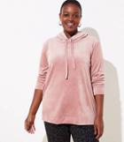 Loft Plus Velour Hoodie