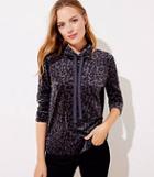 Loft Leopard Print Velour Hoodie