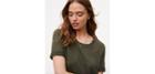 Loft Short Sleeve Sweater
