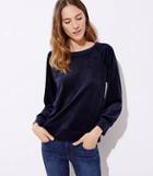 Loft Velvet Sweatshirt