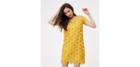 Loft Sunflower Lace Dress