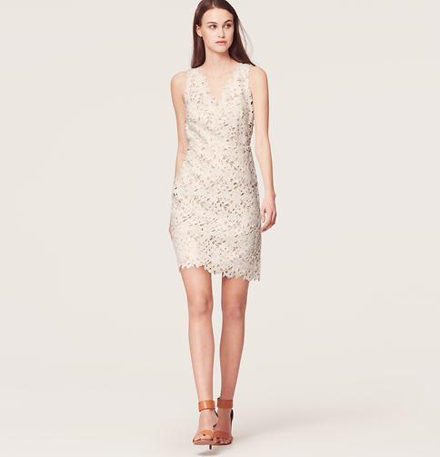 LOFT Floral Lace Dress