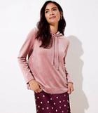 Loft Velour Hoodie