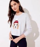 Loft Dog Sweater