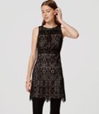 Loft Stained Glass Lace Dress