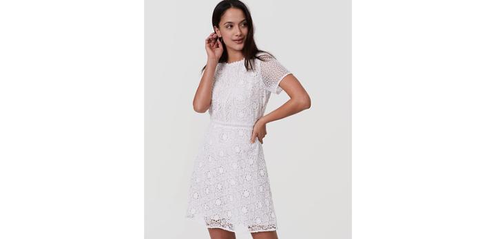 Loft Camellia Lace Dress