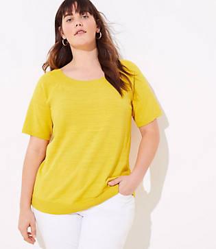 Loft Plus Boatneck Short Sleeve Sweater