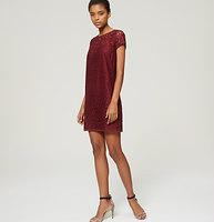 Loft Short Sleeve Lace Dress