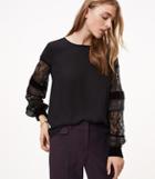 Loft P Lace Sleeve Popover