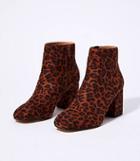 Loft Leopard Print Block Heel Ankle Boots