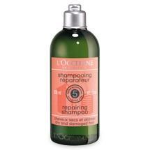 Loccitane Aromachologie Repairing Shampoo