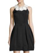 Daisy-collar Sleeveless Fit & Flare Dress, Black