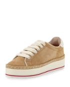 Dabnis Suede Platform Low-top