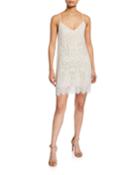 Floral Lace Dress W/ Spaghetti