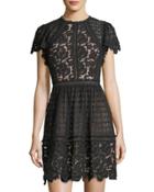 Short-sleeve Mixed-lace Fit & Flare Dress