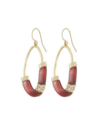 Ombre Frosted Hoop Dangle Earrings, Red