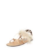 Forma Flat Feather-trim