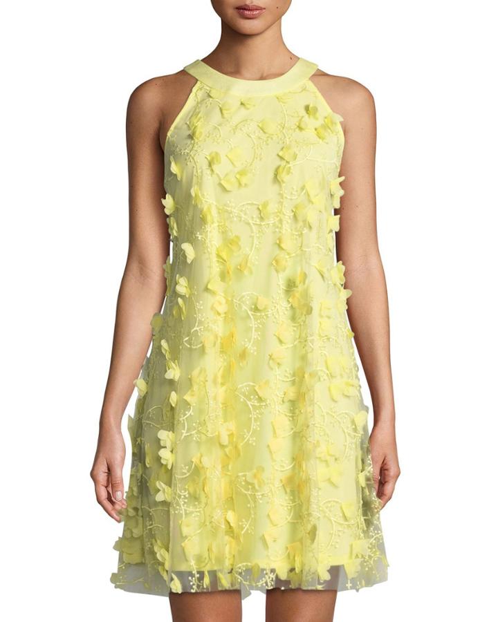 3-d Floral Trapeze Dress