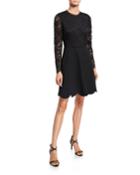 Laurian Galloon Lace Scallop-hem A-line Dress