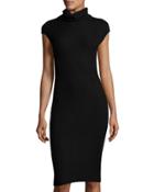 Ribbed Sleeveless Turtleneck Dress