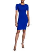 Shirred Side Short-sleeve Fitted Dress