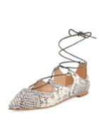 Ambra Lace-up Ballet Flat, Black/white