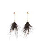 Feather Chain Earrings, Black