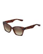 Modified Cat-eye Acetate Sunglasses, Havana/brown