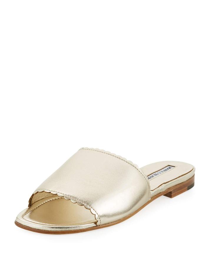 Arcara Metallic Flat Slide