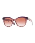 Jacey Cat-eye Havana Acetate Sunglasses, Fig/sonoma