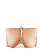 Anouk Day Antelope Shoulder Bag, Camel