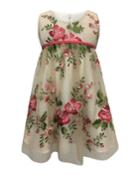 Floral Embroidery Lace Dress,