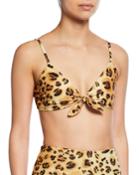 Carla Animal-print Tie-front Bikini Top