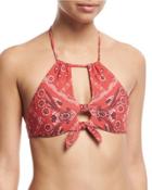 Bandit High Neck Halter