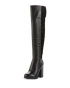 Howell Suede/leather Over-the-knee Boot, Black