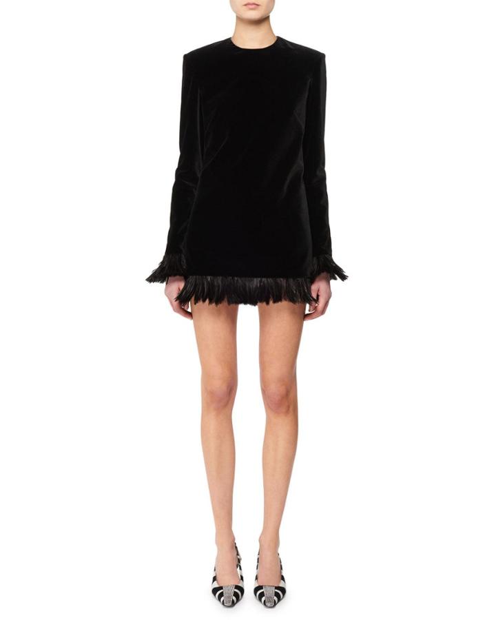 Jewel-neck Long-sleeve Velvet Mini Dress W/ Feather Trim