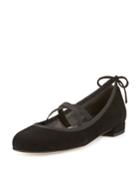 Bolshoi Suede Ballerina Flat