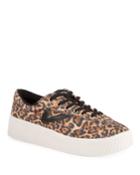 Nylite Bold