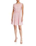 Lace Scallop Trim Dress