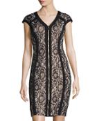 Cap-sleeve Metallic Lace Zip-front Sheath Dress, Putty/black
