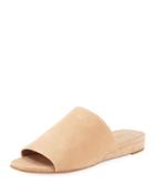 Bartley 2 Suede Flat