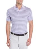 Men's Dartmouth Stripe Jersey Polo