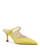 Pointed Crocodile-print