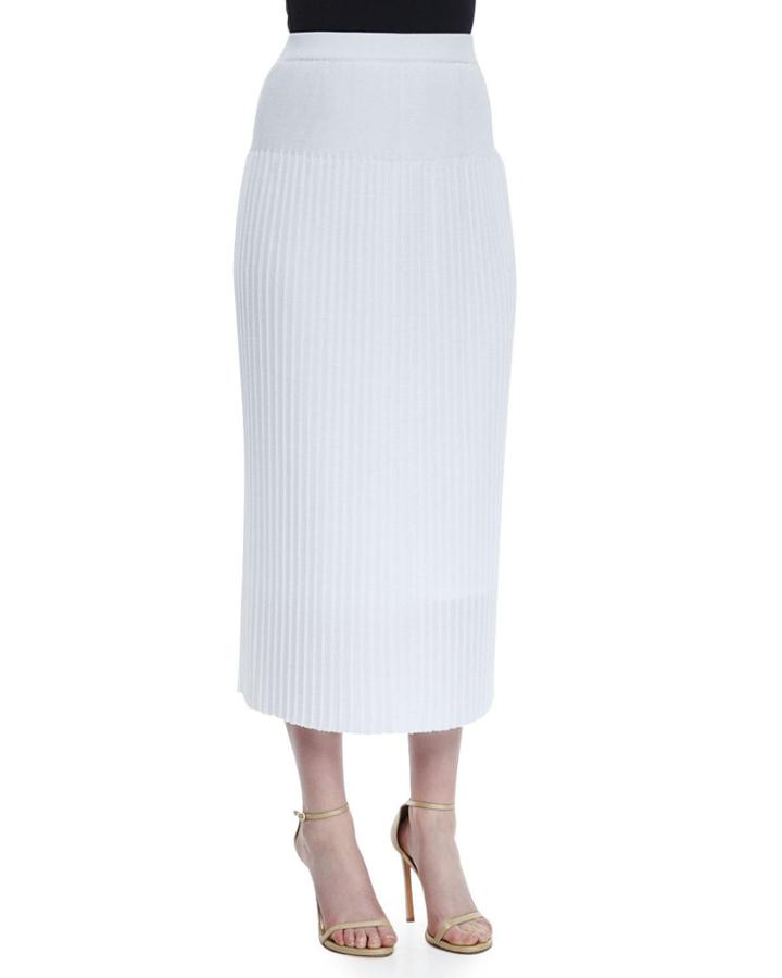 Petite Long Pleated